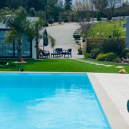 Daire Alto Do Moinho *