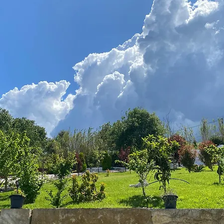 Alto Do Moinho الكوباسا